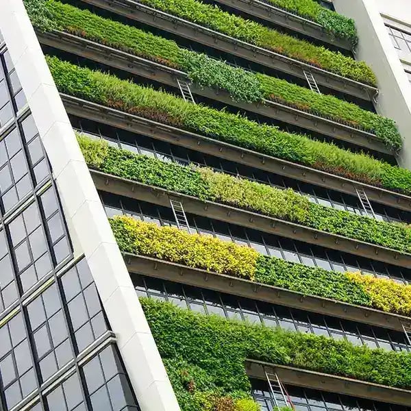 VSME: la herramienta que simplifica la sostenibilidad para las pymes