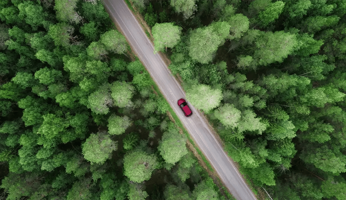 insight featured image