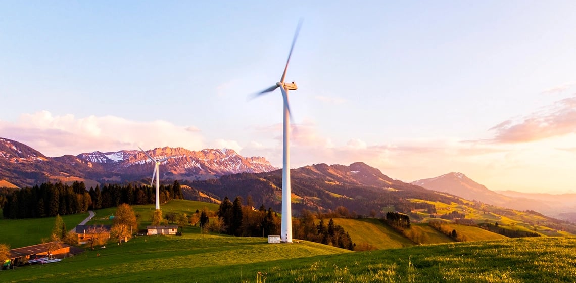 insight featured image