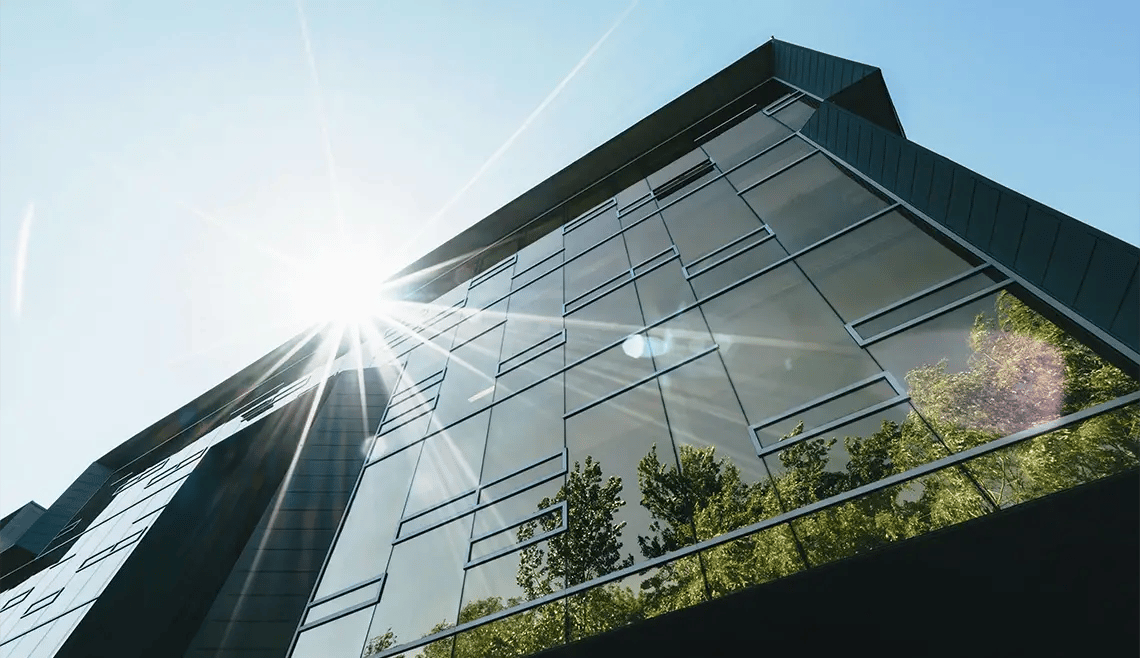 insight featured image