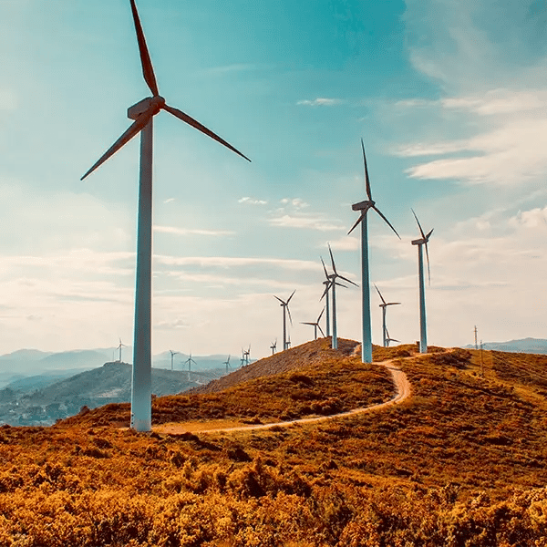 ICIO: los tribunales aclaran el beneficio del contratista