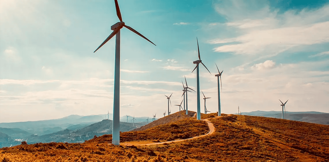 insight featured image