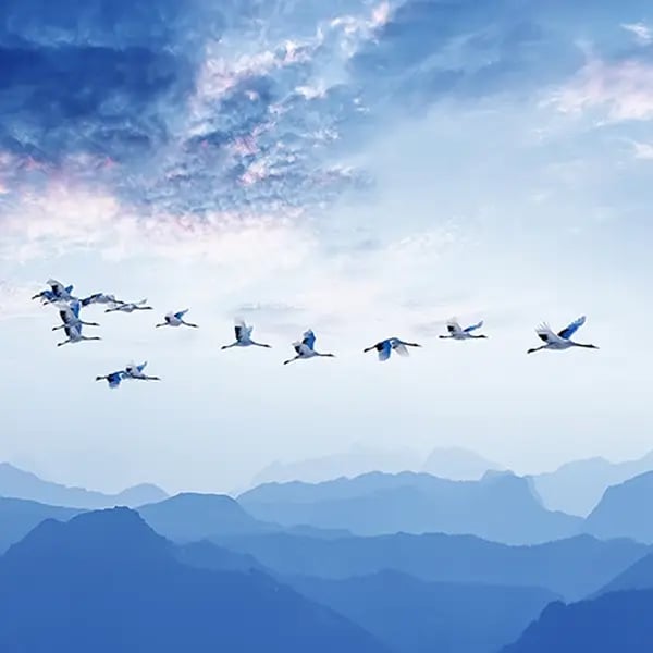 El 84% de las empresas españolas del middle-market intensifican sus inversiones en sostenibilidad