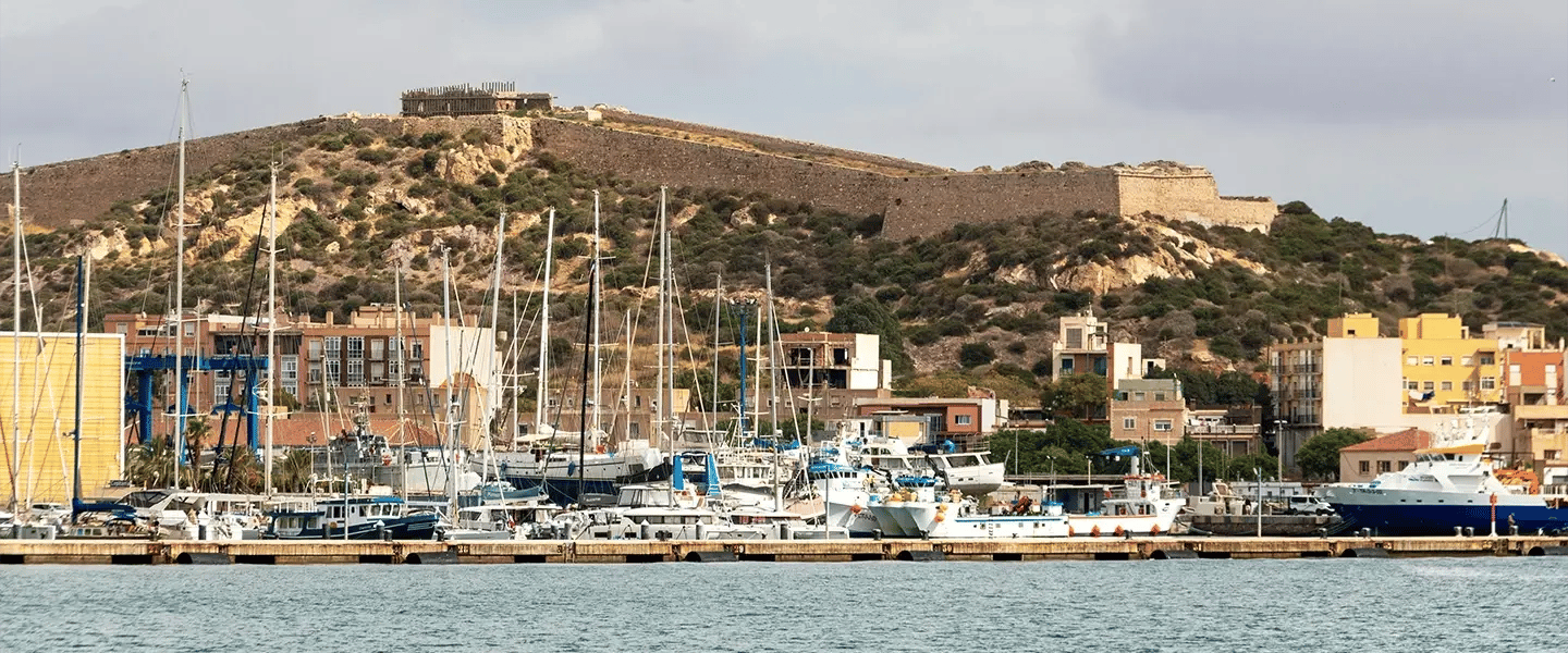 Jornadas Anuales del REAF 2025