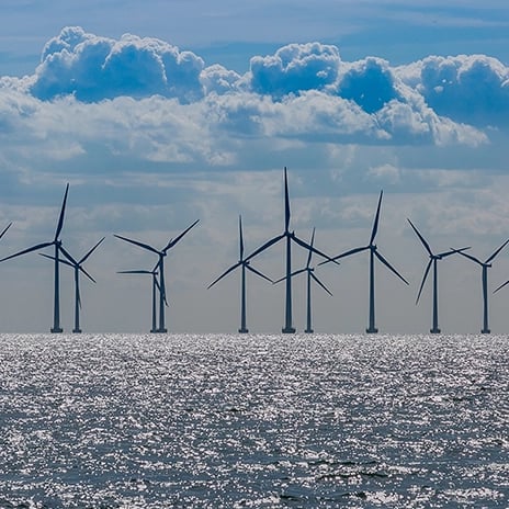 Impuestos medioambientales y fiscalidad: cómo pueden potenciar la estrategia ESG