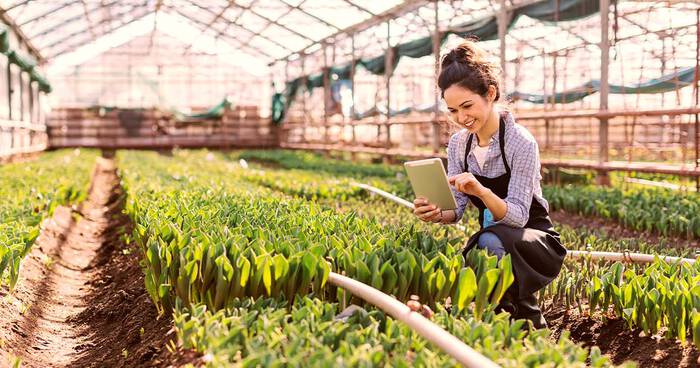 Un tercio de las empresas no informa sobre sostenibilidad