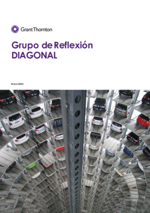 IV Informe del Grupo de Reflexión DIAGONAL