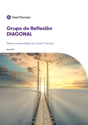 V Informe del Grupo de Reflexión DIAGONAL