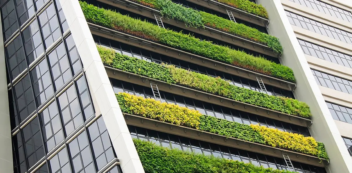 insight featured image