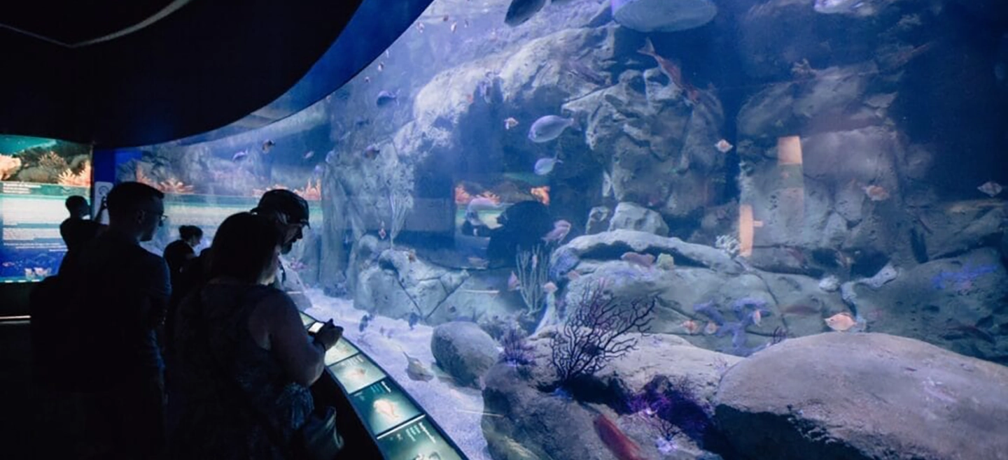 Grant Thornton patrocina un año más los Premios Economía 3