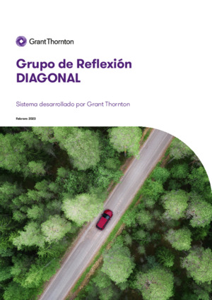 Descarga el II Informe del Grupo de Reflexión DIAGONAL