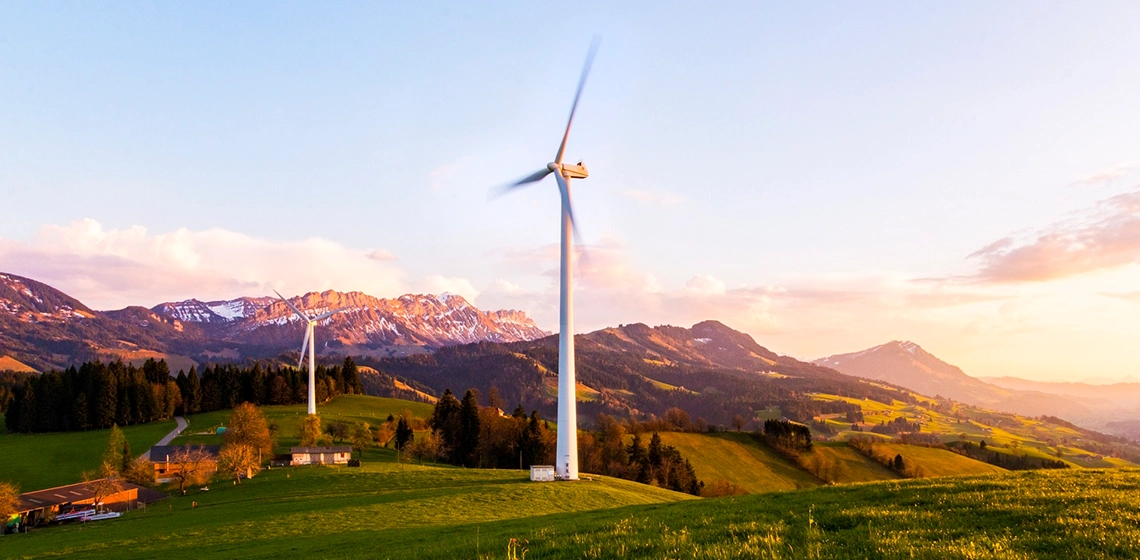 insight featured image