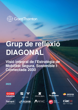 Grup de Reflexió DIAGONAL