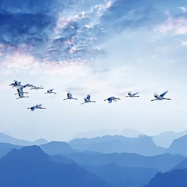 El 84% de las empresas españolas del middle-market intensifican sus inversiones en sostenibilidad