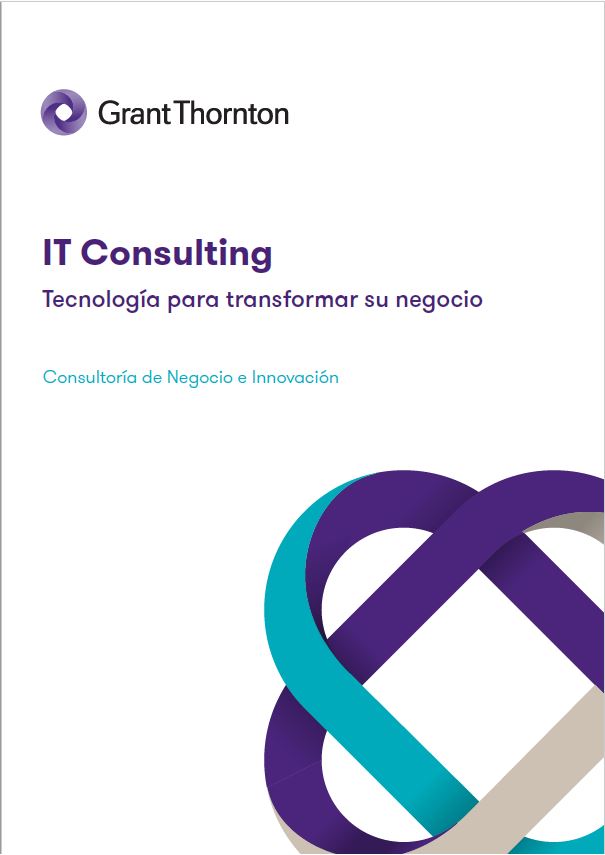 IT Consulting