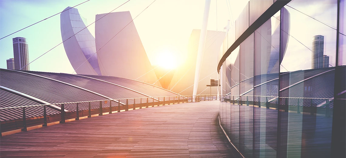 insight featured image