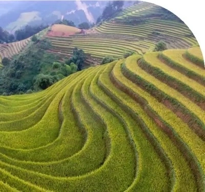 Integrated Quality and Environmental Policy