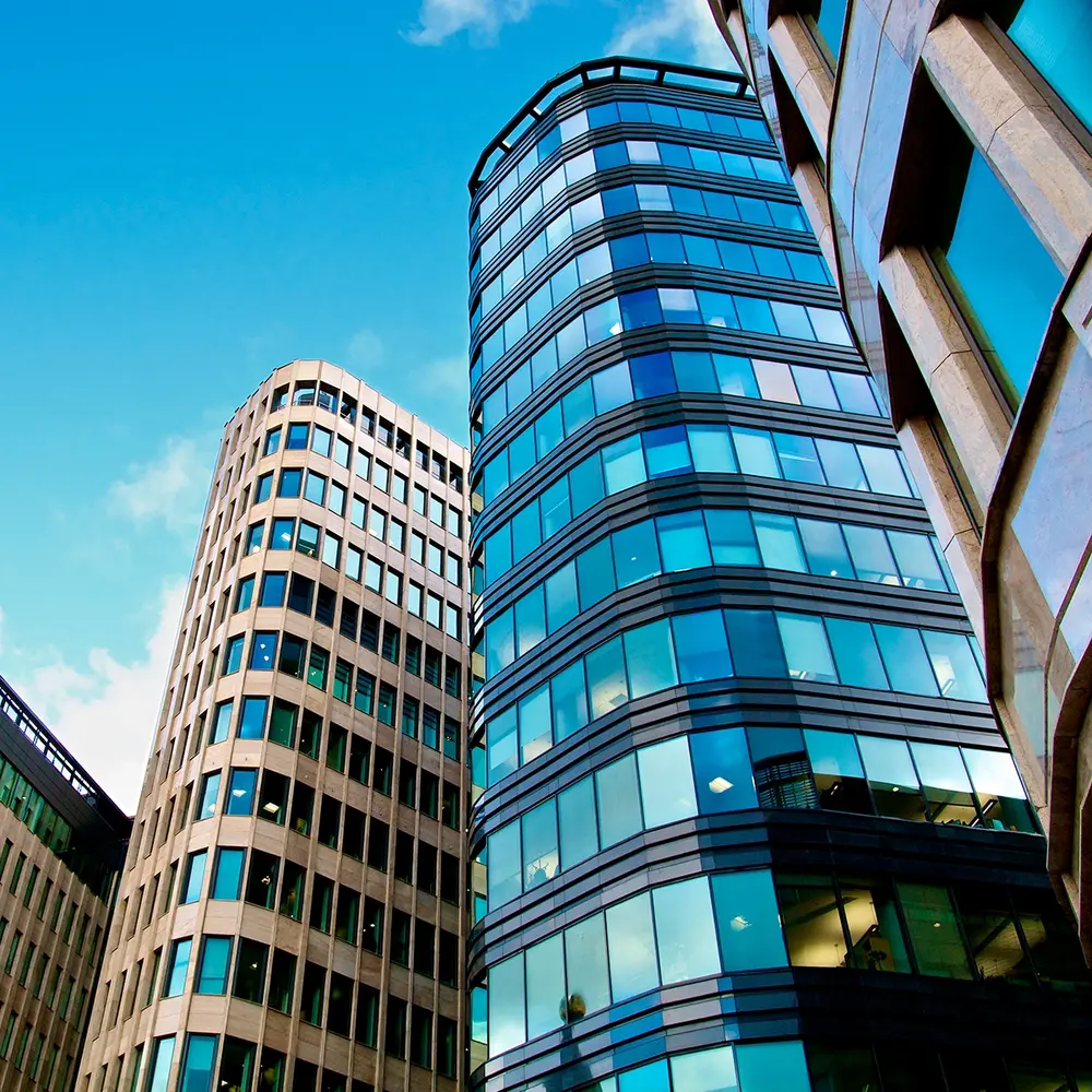 Avanzar en la disrupción