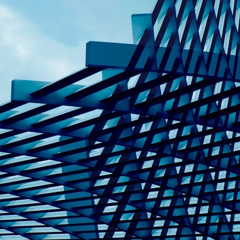 Avanzar en la disrupción