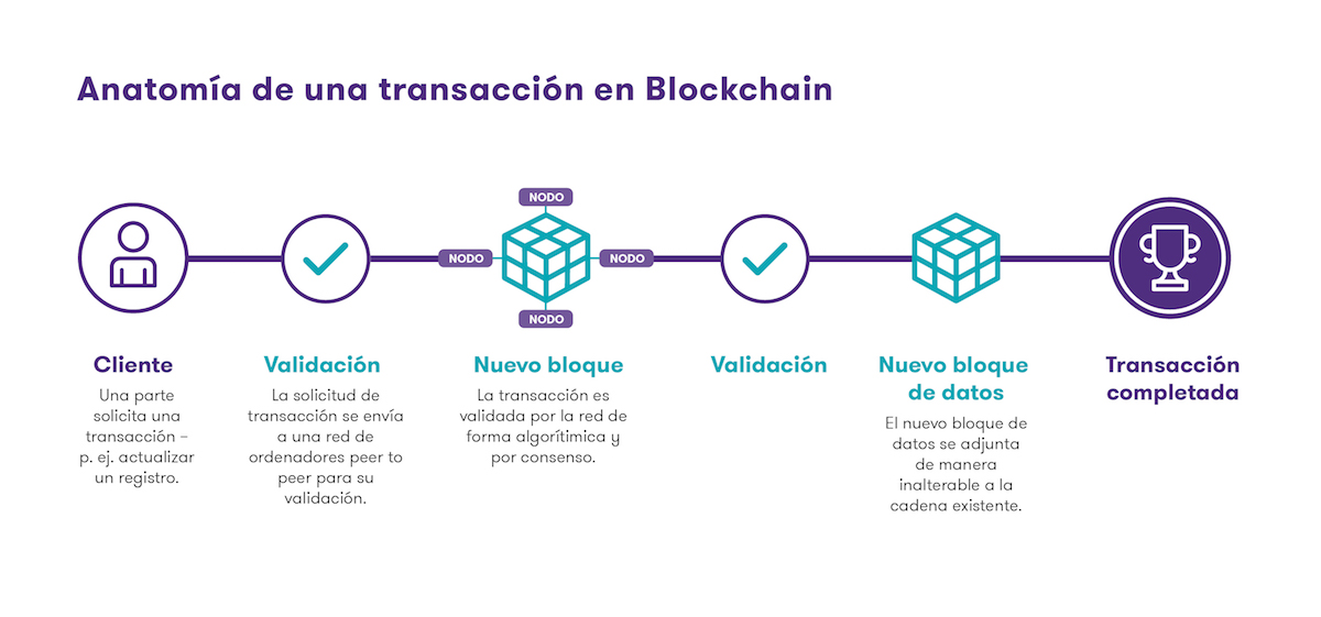 20190913-blog-infografia.jpg