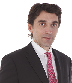 Luis Fernández