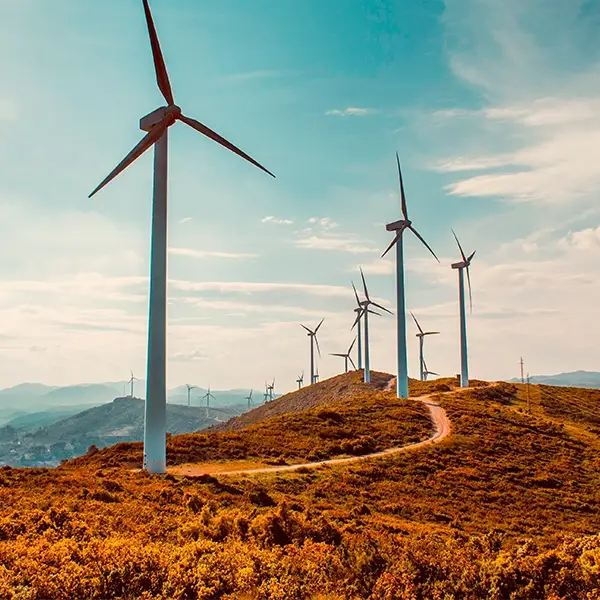 ICIO: los tribunales aclaran el beneficio del contratista